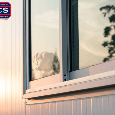 Pet safety Home security solutions Comprehensive safety Alert 360 Emergency preparedness Innovative security Family protection Pet emergency plan Secure environment for pets Pet-friendly security systems