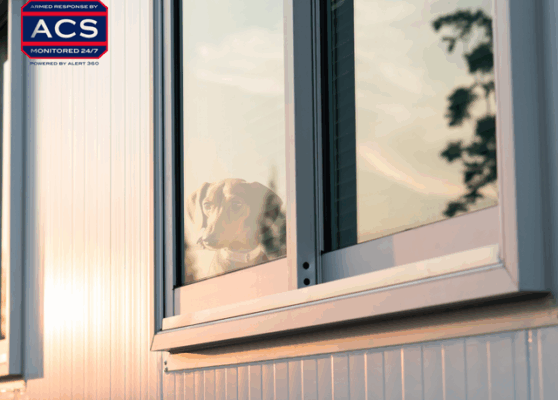 Pet safety Home security solutions Comprehensive safety Alert 360 Emergency preparedness Innovative security Family protection Pet emergency plan Secure environment for pets Pet-friendly security systems