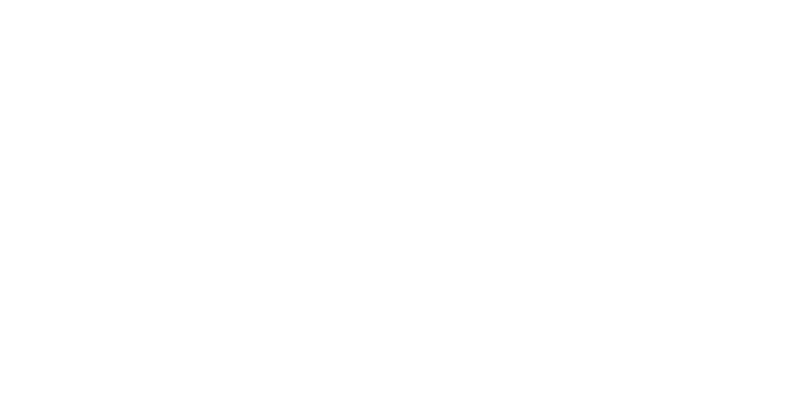 vector4 - ACS Security